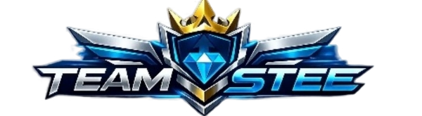 Team Stee