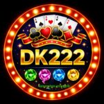 DK 222 Game